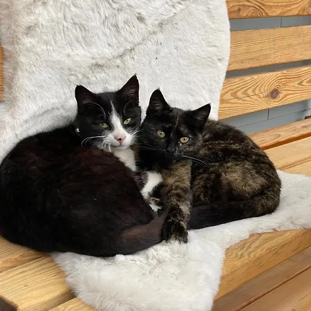 Apartamento Gschwandtl