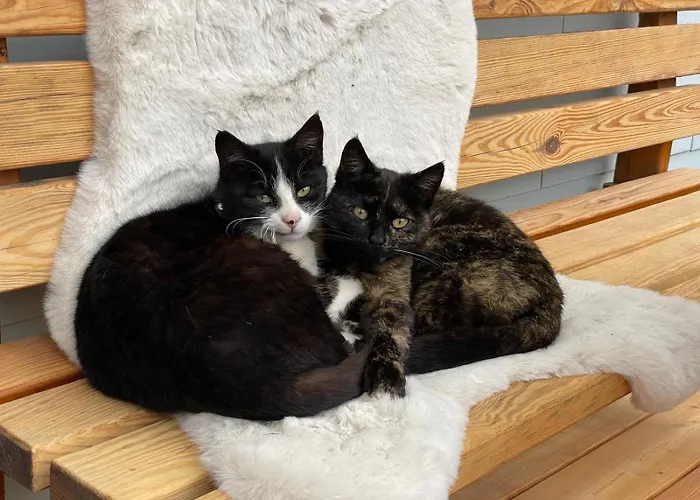 Apartament Gschwandtl